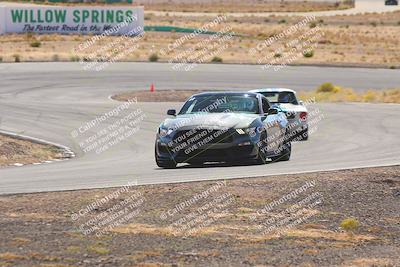 media/Oct-25-2025-West Coast Racing (Sat) [[9fdcbcd09c]]/Yellow group/Turn 4/